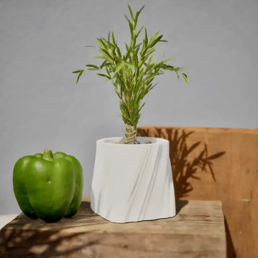 eco-twisted-pot-white-planter-406